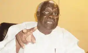 Tinubu: He Is Now More Experienced And Matured Compared To When He Was Governor – Bode George