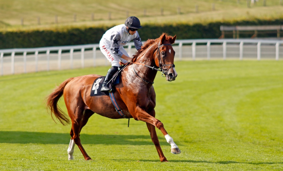 Tyson Fury to make unexpected sporting return to Royal Ascot tomorrow after long time out of action