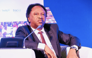 Niger: Can An African Ambassador Behave Like That In Your Country? – Shehu Sani Blasts France Ambassador