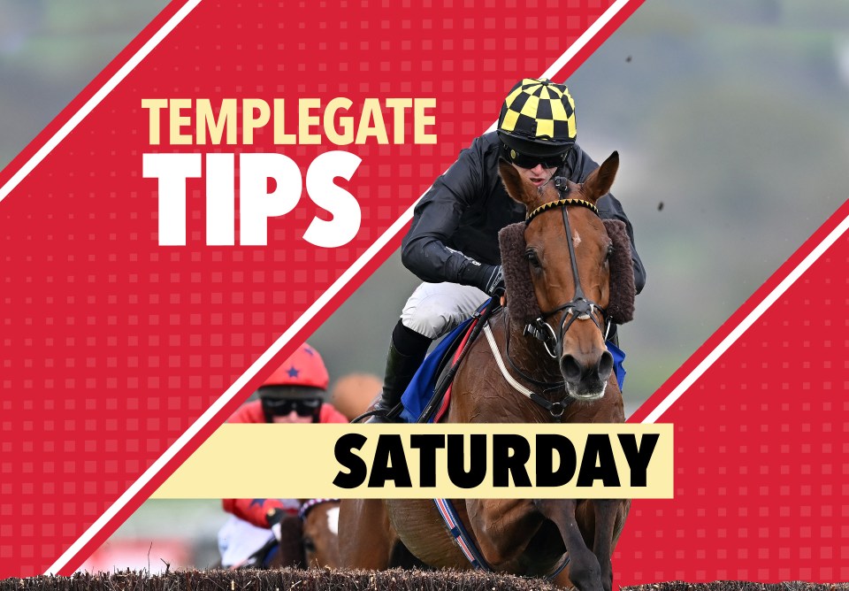 Horse racing tips: Templegate’s 5-1 NAP absolutely relishes this new trip and can bolt up at Ascot on Shergar Cup day