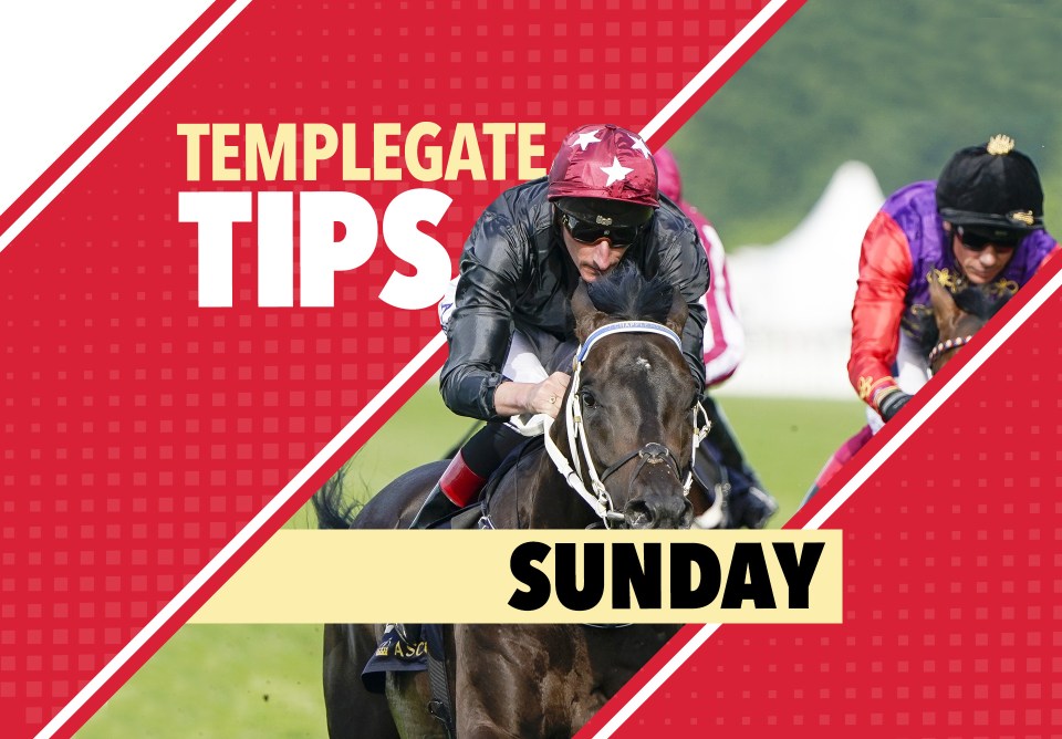 Horse racing tips: Templegate NAP has slipped to a tempting handicap mark at Sandown