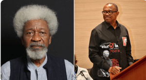 Soyinka Influenced By Emilokan Sentiment To Say Peter Obi Lost Presidential Election – Labour Party