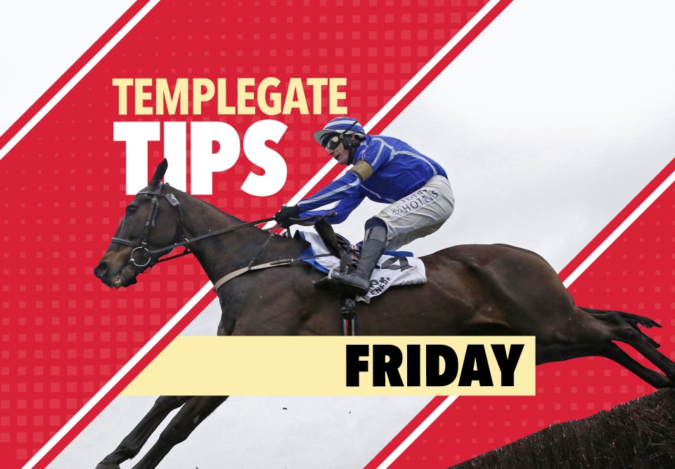 Horse racing tips: Templegate NAP has been a legend for Andrew Balding and won this race last year