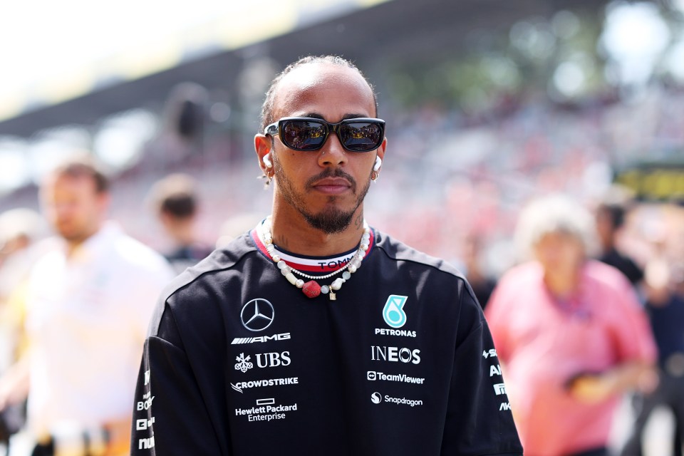 Newcastle takeover lawyer confident Lewis Hamilton WILL be stripped of 2008 F1 world title amid Massa’s legal fight