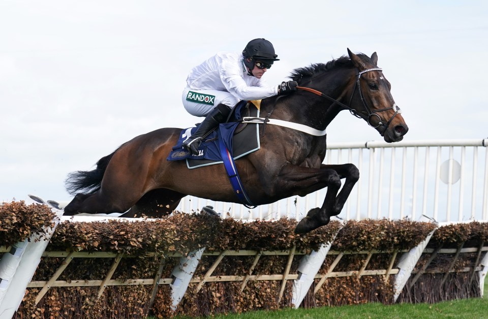 Freezing weather could play havoc with big jumps meetings with inspection called at Newbury