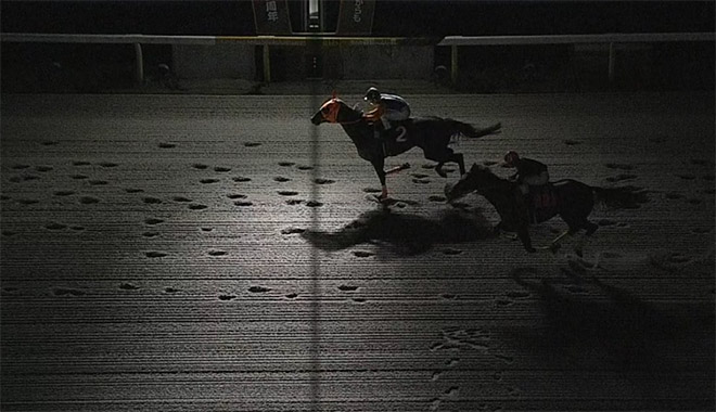 Race track issues ‘sincere apology’ after power failure leads to two jockeys being rushed to hospital and horse put down