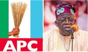 Benue APC Raises Alarm Over Plot To Protest Against Tinubu, Akpabio, Others