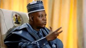 Give Us A Couple Of Months, Nigeria Will Bounce Back – Says VP Shettima