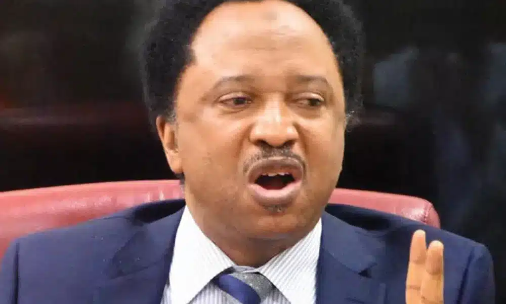 Shehu Sani Reacts To Size Of Tinubu’s Delegation To Qatar