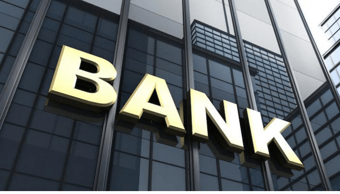 Recapitalization empowers banks to boost real economy- CIBN