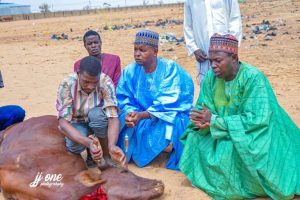 Yobe Govt Goes Spiritual, Slaughters Cow To Punish Vandals Destroying Electricity Tower