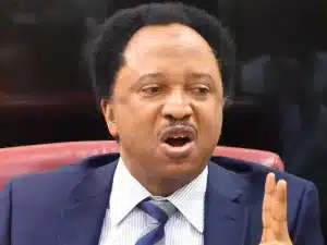 North Compiling Issues To Remove Tinubu In 2027 – Shehu Sani