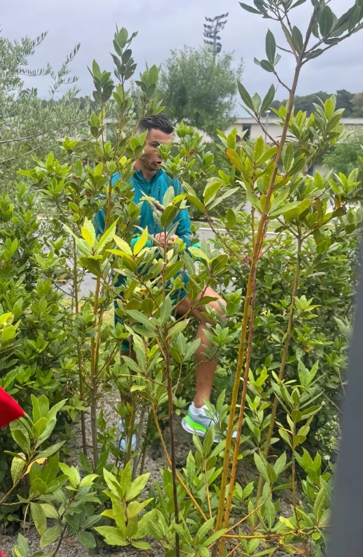 Cristiano Ronaldo climbs through bushes to take selfies with adoring Portugal fans