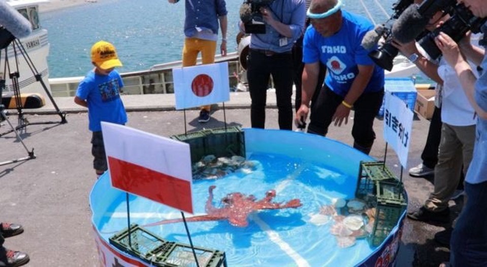 The grim fate of ‘psychic octopus’ that perfectly predicted World Cup results