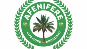 Tinubu Is Being Superficial, His Presidency Is Failing Nigerians – Afenifere
