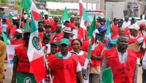 Minimum Wage: No deal yet with FG – NLC