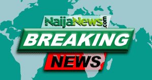 Breaking: IED Explodes At Popular Livestock Market In Yobe