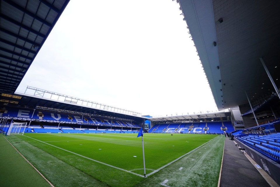 Everton takeover finally agreed as Friedkin Group set to buy crisis club in huge U-turn after pulling plug on £800m deal