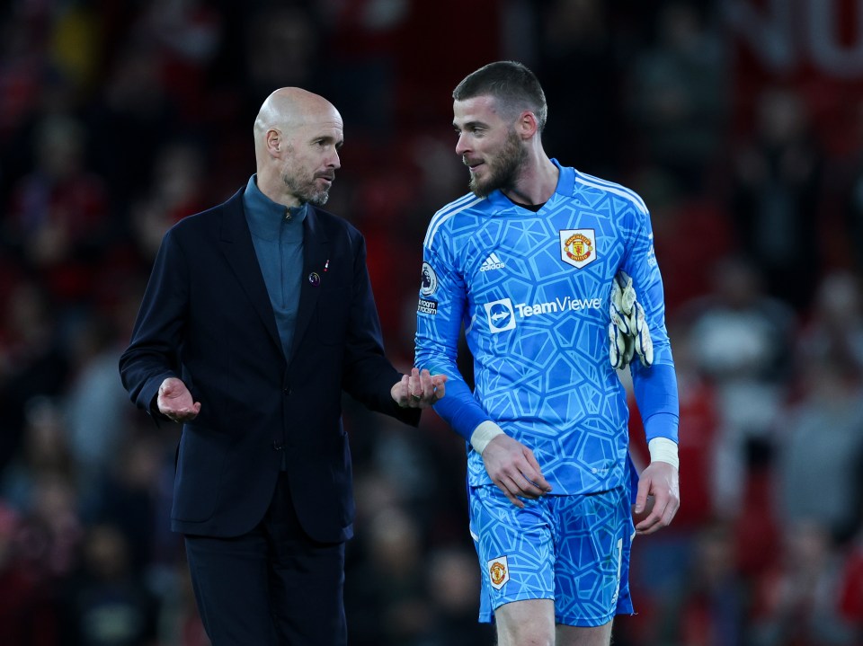 Man Utd legend David De Gea posts very cryptic message following Ten Hag sacking after former boss forced him out