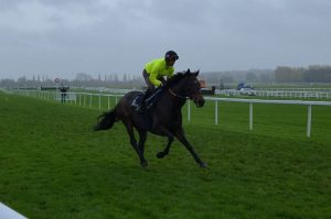 Constitution Hill dazzles in ‘fantastic’ behind-closed-doors Newbury gallop as Nicky Henderson says ‘he’s raring to go’