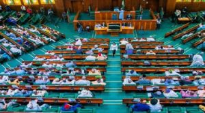 Breaking: Reps Demand Immediate Petrol, Cooking Gas Price Hike Reversal