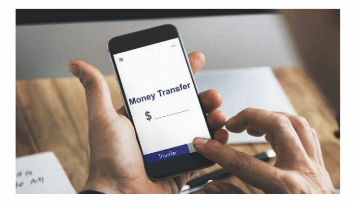 FG earns N103.7 billion from electronic money transfer levies in 6 months