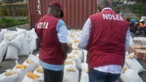 NDLEA Rejects ₦10 Million Bribe, Arrest Suspected Drug Dealers In Lagos