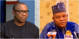 Demanding New Aircraft For Shettima Shows You’re Insensitive – Peter Obi Tackles Borno Speaker