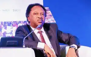 Nigeria@64: Why Former British Colonies Have Advanced While Nigeria Struggles – Shehu Sani