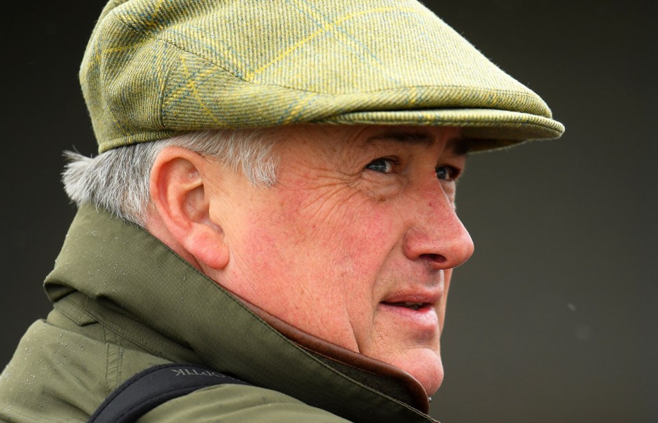 Paul Nicholls pulls hot favourite from first big race of jumps season as Harry Cobden teams up with different trainer