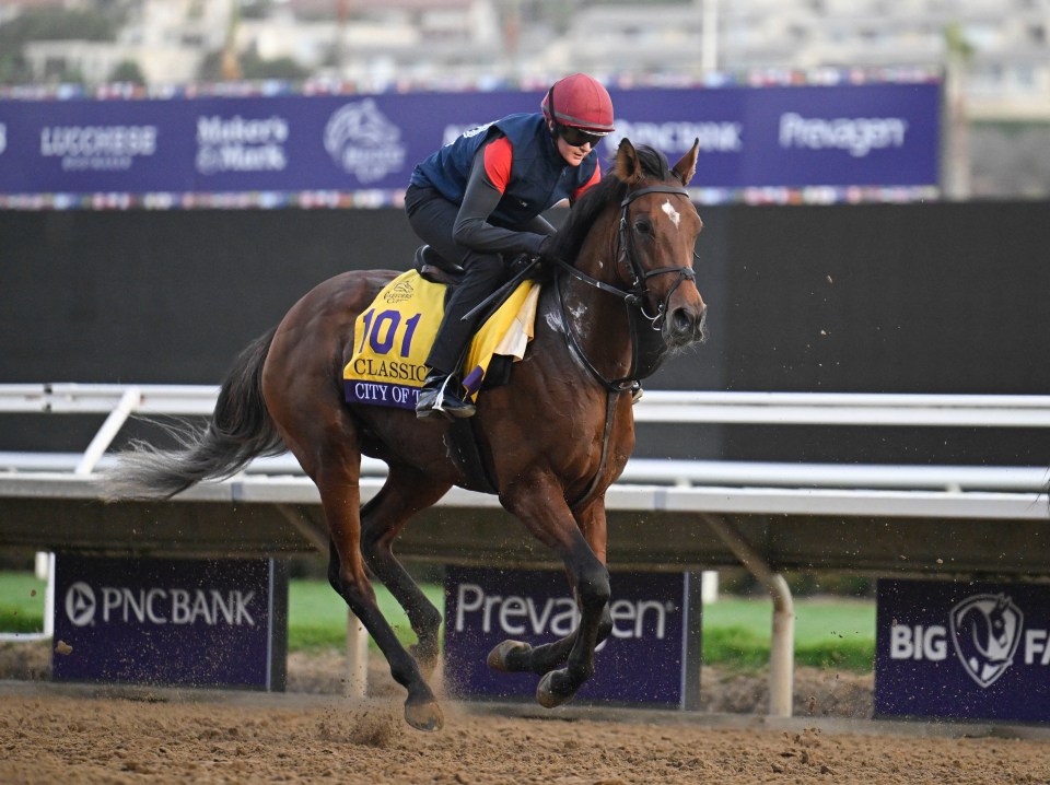 Aidan O’Brien pleased with City Of Troy draw as he prepares for date with destiny in Breeders’ Cup Classic