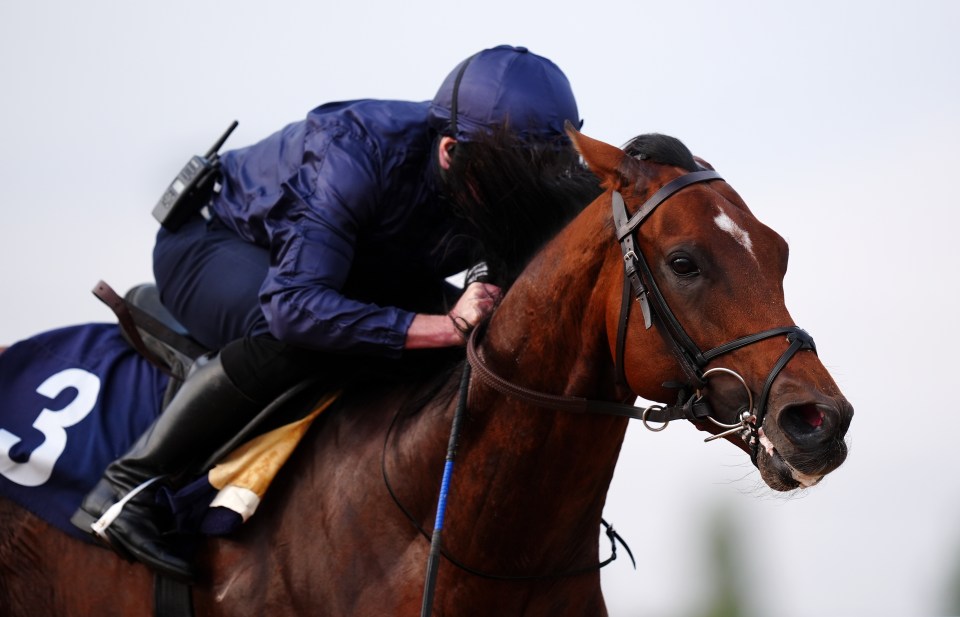 City Of Troy weak in the market after Breeders’ Cup Classic draw as bookies take on Aidan O’Brien superstar