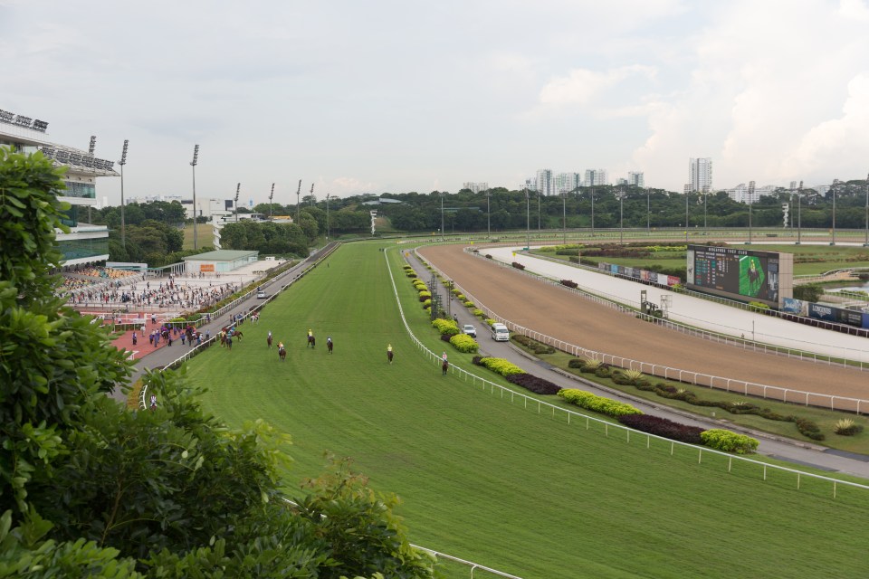 Iconic horse racing track loved by Queen closes doors to punters after 182 YEARS with grounds to be replaced by HOUSES