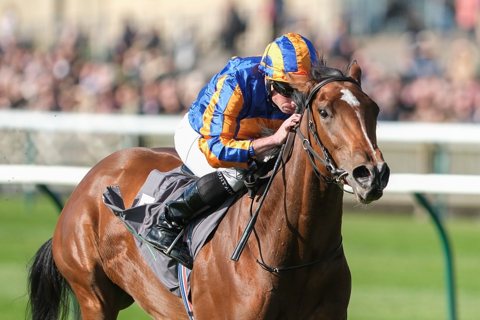 Aidan O’Brien not ruling out Breeders’ Cup for unbeaten superstar filly Lake Victoria