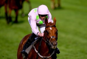 Rich Ricci sells Willie Mullins’ star Vauban to Austrlia for over £1million as new owners set Melbourne Cup target