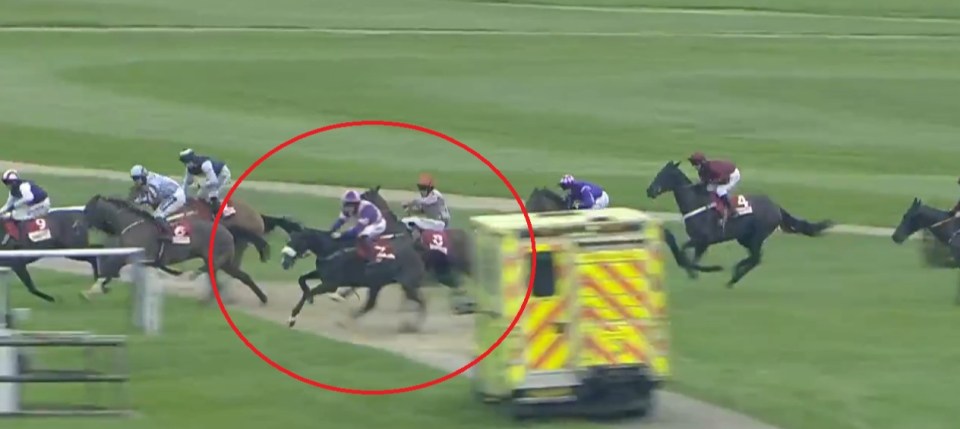 ABSOLUTE CARNAGE in Cheltenham Cross Country chase as horse smashes into rail moments after jockey takes wrong turn