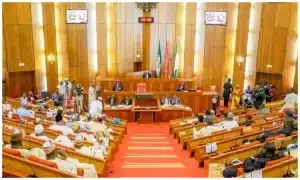 Lakurawa Terrorists Are Well Armed, Highly Connected – Nigerian Senators Exposes Origin Of Terrorist Group