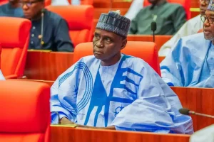 ‘Your Suggestion Is Foreign’ – Senator Monguno Disagrees With Ndume On Controversial Tax Reform Bills