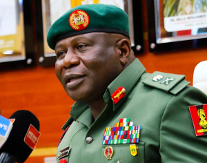 Details Of Acting COAS, Oluyede’s Statement During Screening At House Of Reps