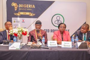 FG Working To Remove Barriers To Business – Dele Alake