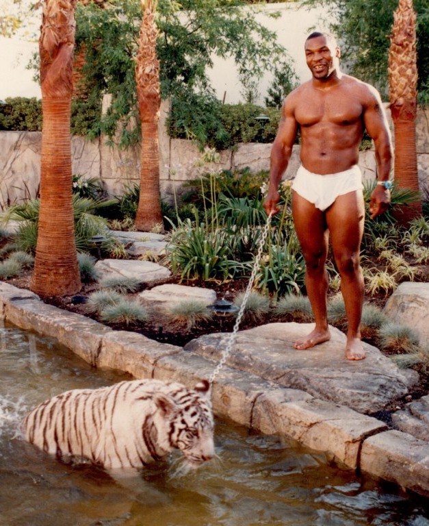 Boxing legend Mike Tyson bought a £50,000 tiger from Netflix star Joe Exotic, before it was donated to a local sanctuary