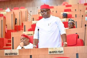 ‘Provide Evidence Of 100 Senators At Ifeanyi Ubah’s Burial’ – Late Senator’s Family Dares Senate