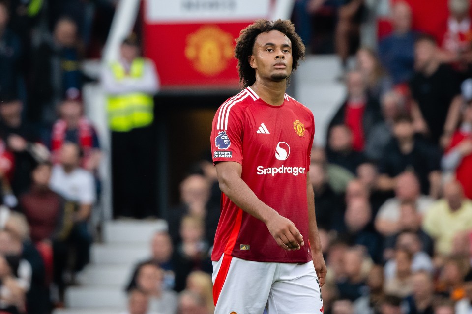 Joshua Zirkzee ‘would gladly go back to Italy’ after Man Utd struggles just months after transfer with Juventus keen