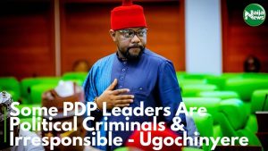 Some PDP Leaders Are Political Criminals, Irresponsible – Lawmaker Reveals