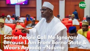 Some People Call Me Ignorant Because I’m From Borno And Wear Agbada – Ndume