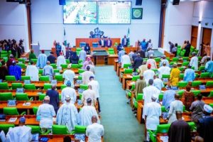 Reps Urge Tunji-Ojo To Provide Security For Transmission Lines