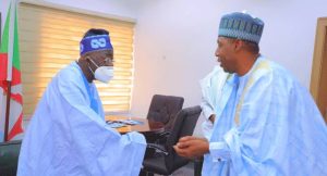 There Will Be Consequences If Tinubu Uses His Power To Pass Tax Reform Bills – Zulum