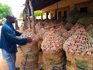 Price Of Onion In Nigeria Soars By 200% Ahead Of Christmas, New Year Celebrations