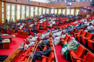 Senate Passes Bill To Formalize Nigerian Police Training Institutions