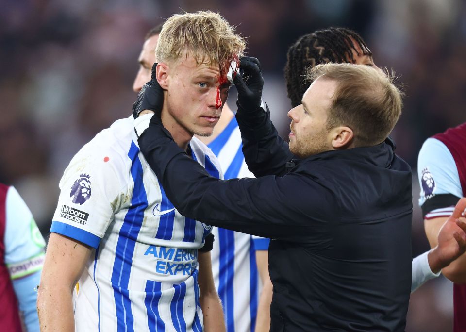 Brighton star Jan Paul van Hecke left with blood pouring down his face after being injured by own team-mate